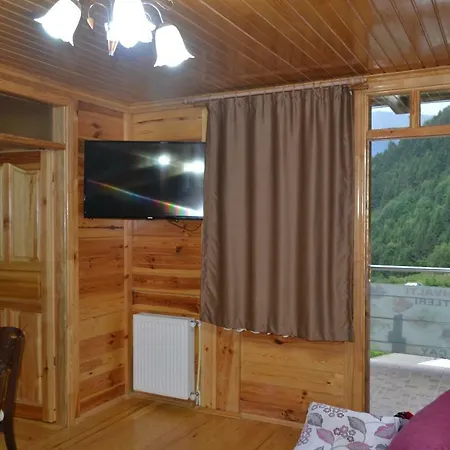 Apartment Ozturk Apart Uzungol