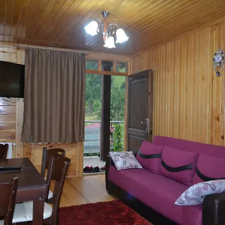 Apartment Ozturk Apart *